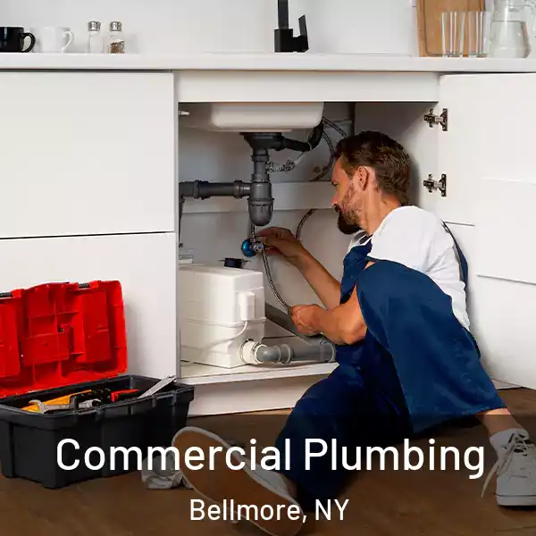  Commercial Plumbing Bellmore, NY